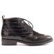 женские осенние ботинки HISPANITAS HI00762 black фото 1 mini