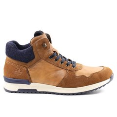 Фотография 1 зимние мужские ботинки RIEKER 36140-21 brown