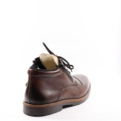 Фотография 6 зимние мужские ботинки RIEKER 15342-25 brown